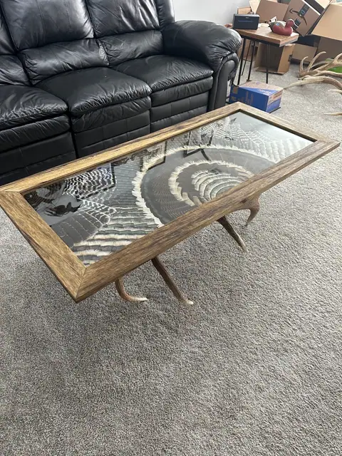 Custom turkey feather art table with feathers displayed under glass, built by All Feathers Taxidermy