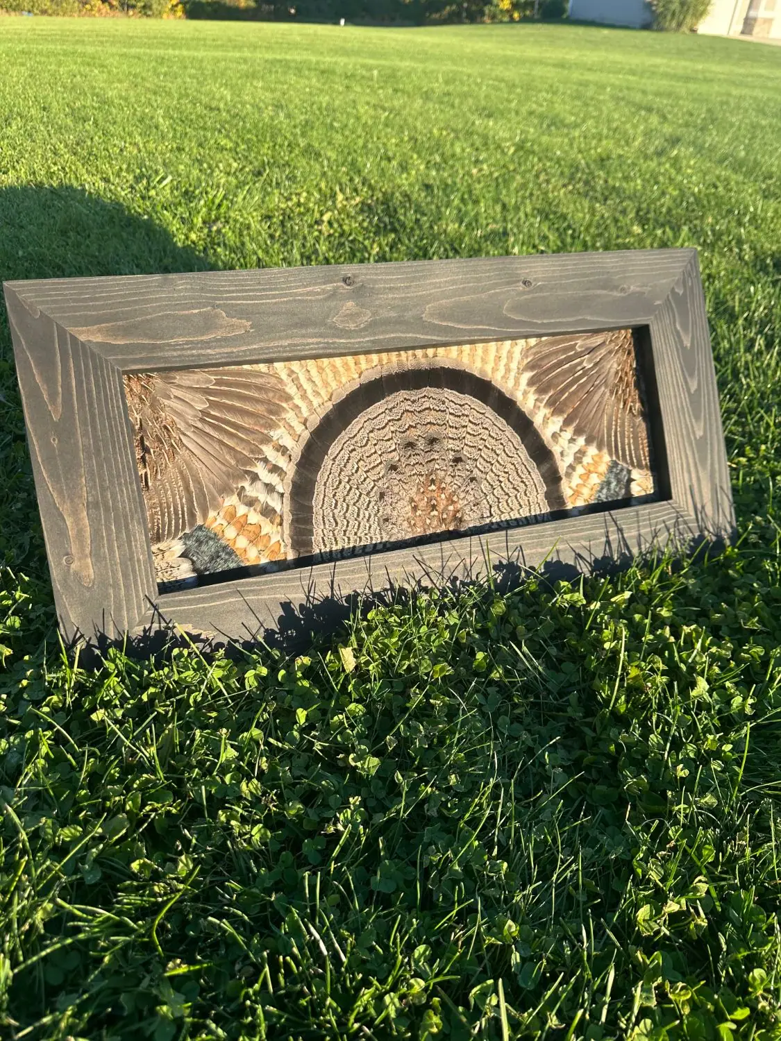 Ruffed grouse feather art in a gray stained frame