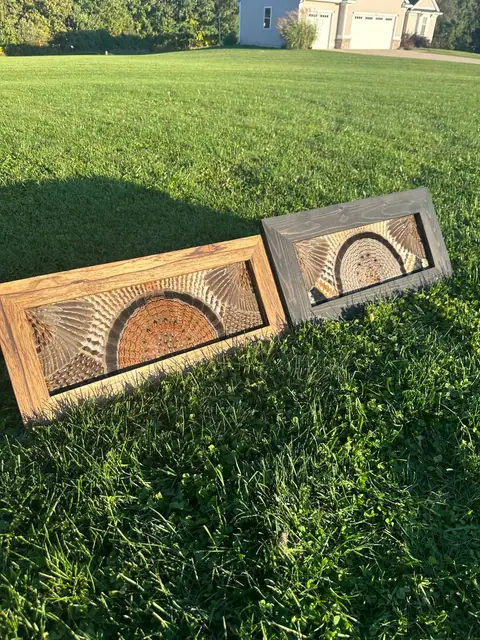 Two ruffed grouse feather art pieces, one in a natural wood frame and one in a gray stained frame, by All Feathers Taxidermy