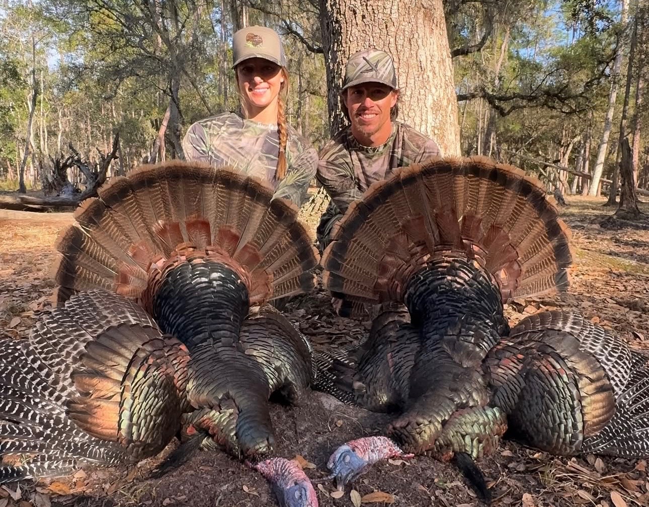 Osceola turkey