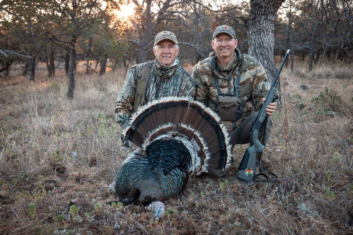 Gould's turkey