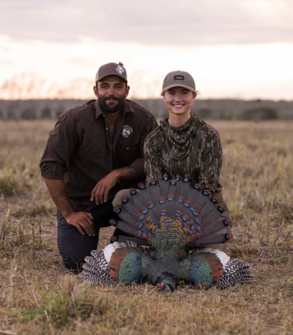 Ocellated turkey