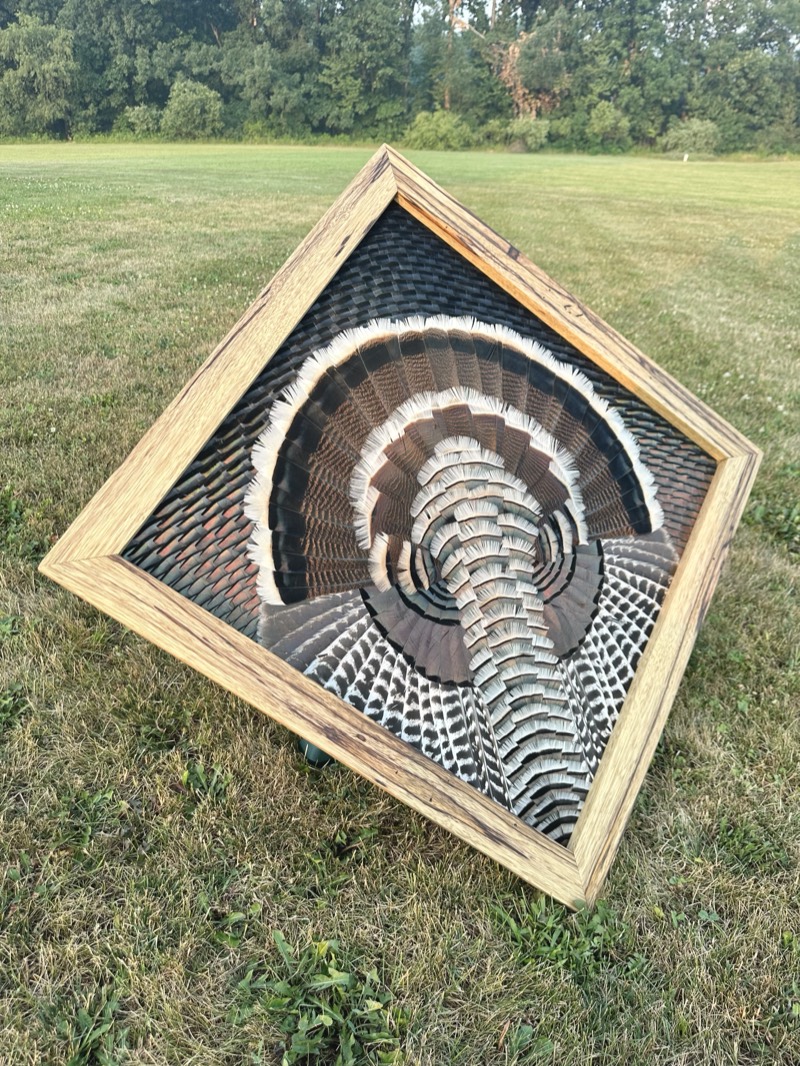 Diamond Turkey feather art piece