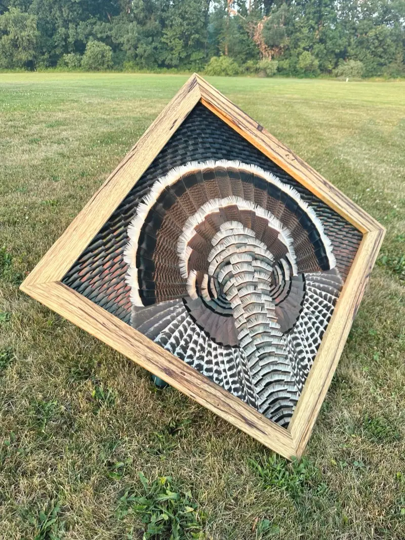 Diamond Turkey feather art piece