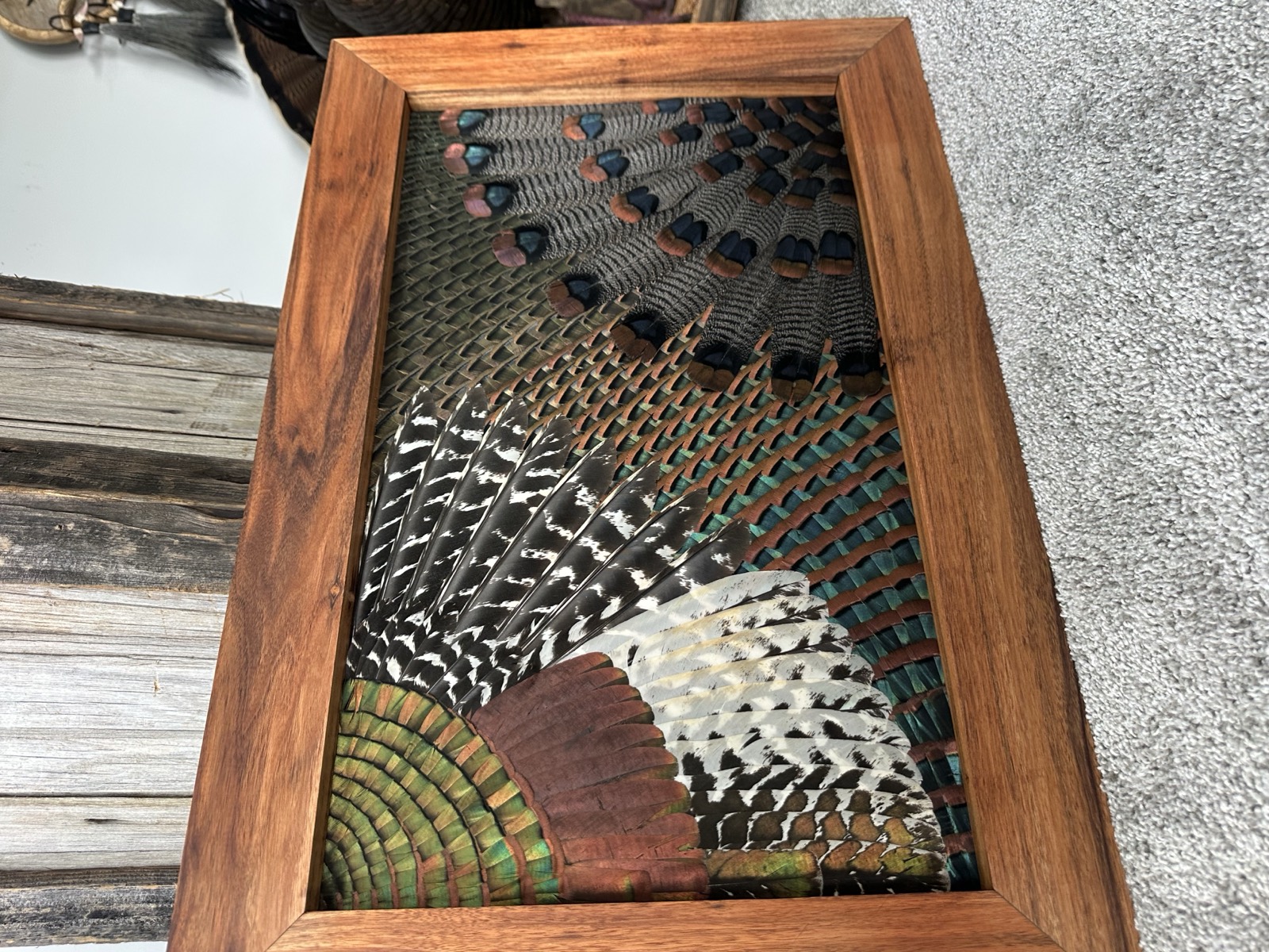 Ocellated Turkeys