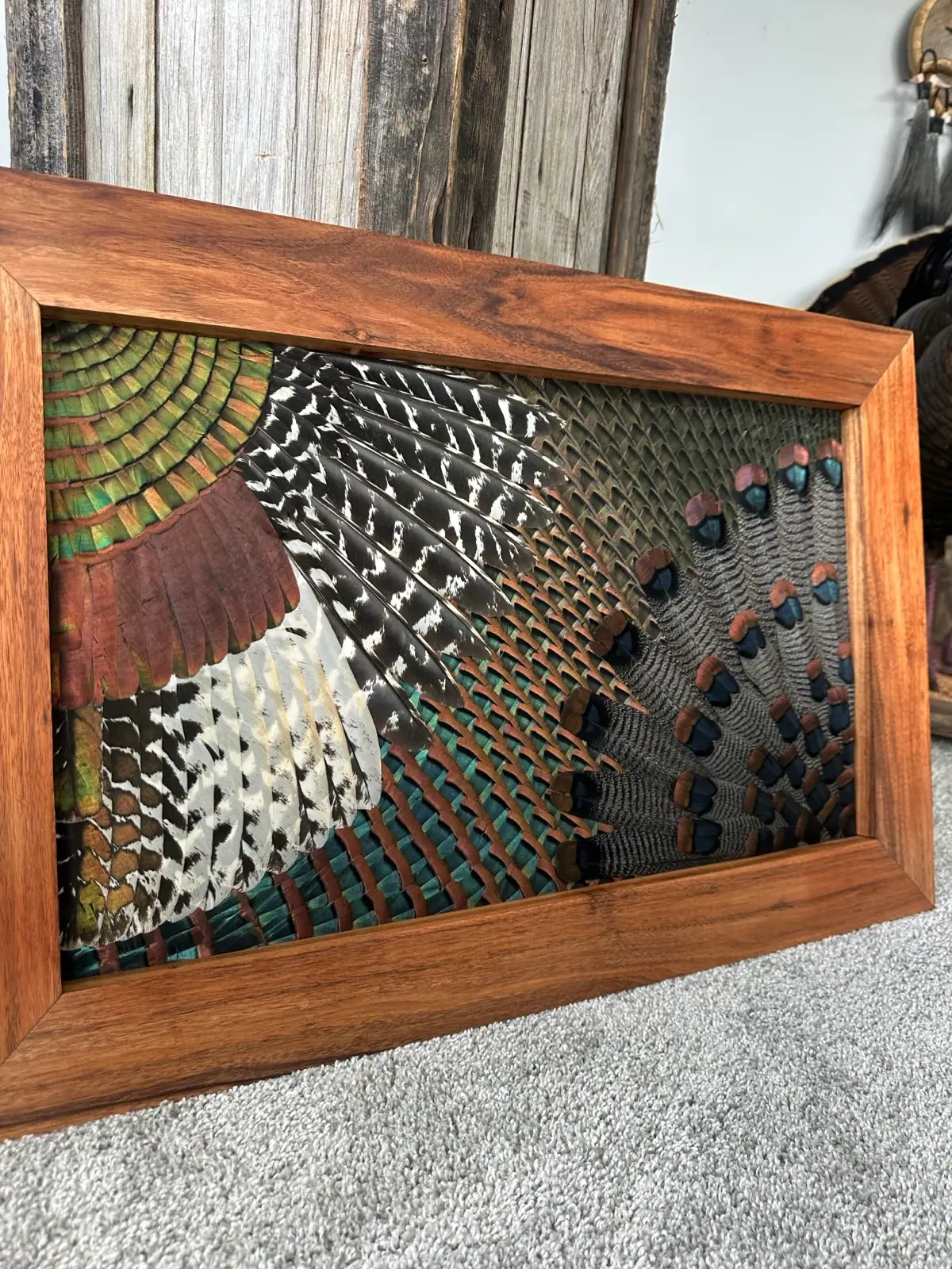 Ocellated Turkeys