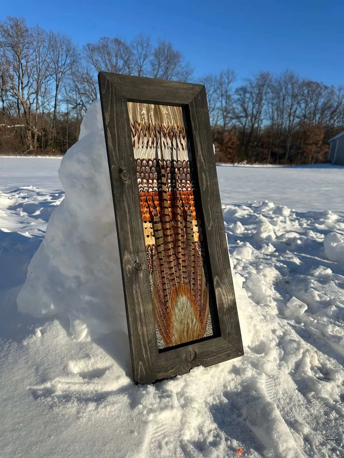 Pheasant feather art in a tall dark frame, standing in the snow