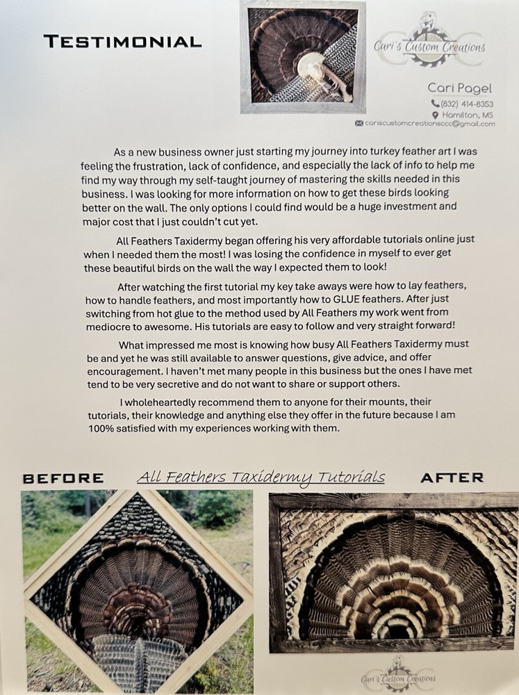 Signed testimonial letter from Cari Pagel, Cari's Custom Creations, including before-and-after Diamond Turkey photos.