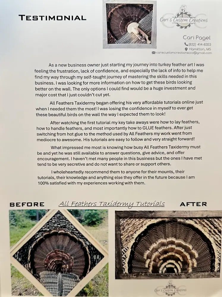 Signed testimonial letter from Cari Pagel, Cari's Custom Creations, including before-and-after Diamond Turkey photos.