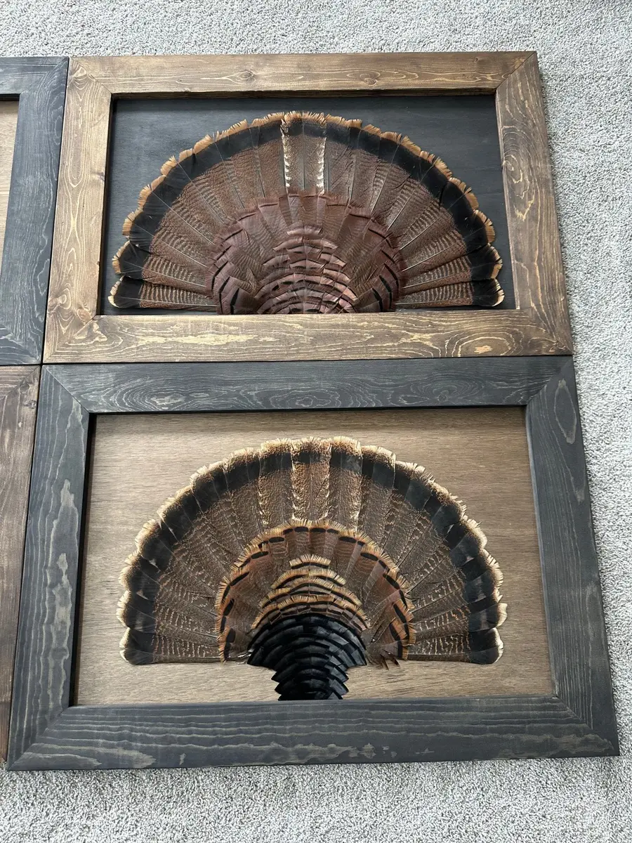 Turkey Stained Background Tutorial