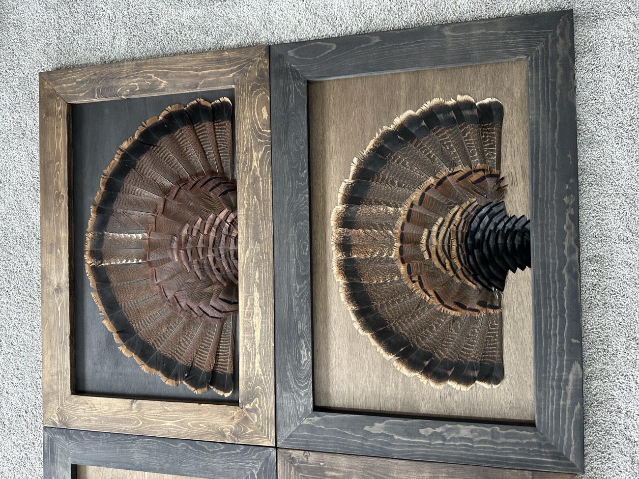 Stained background feather art piece
