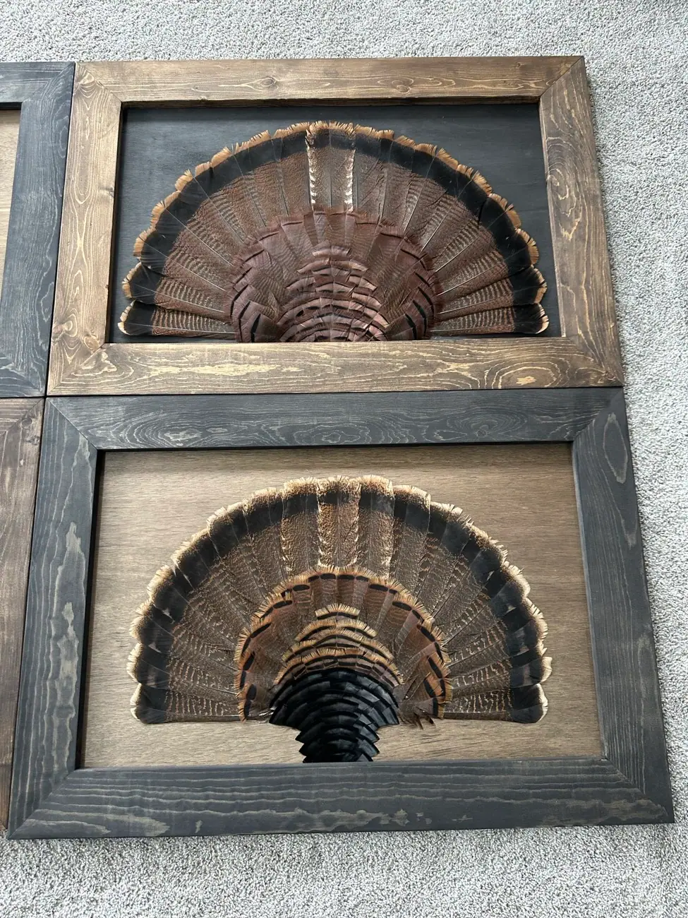 Stained background feather art piece