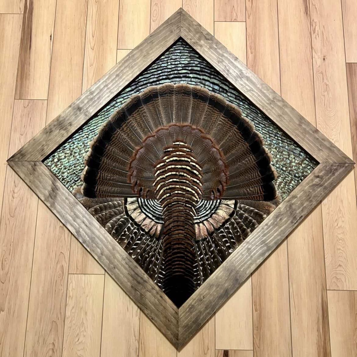 Student-built Diamond Turkey in an oak diamond frame on a hardwood floor
