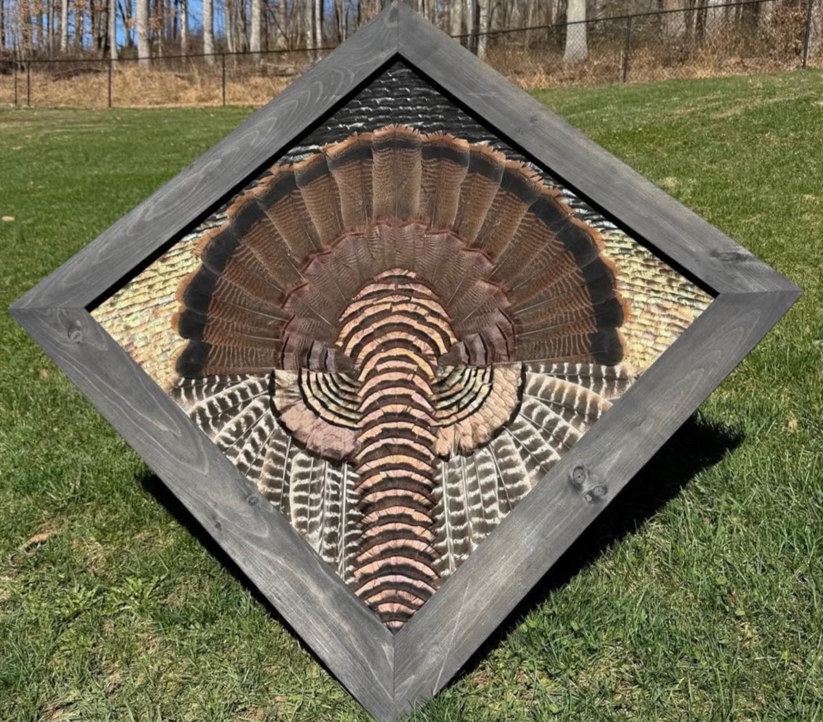 Student-built Diamond Turkey in a gray-stained diamond frame, photographed outdoors