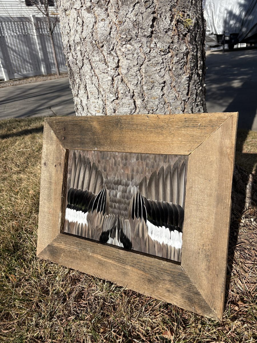 Student-built Waterfowl piece in a rustic barn-wood frame, resting against a tree