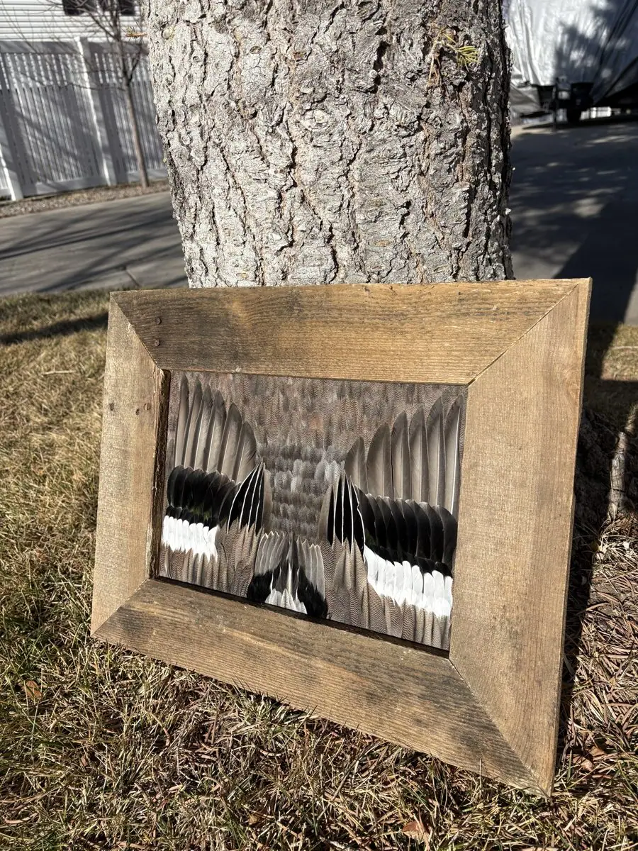 Student-built Waterfowl piece in a rustic barn-wood frame, resting against a tree
