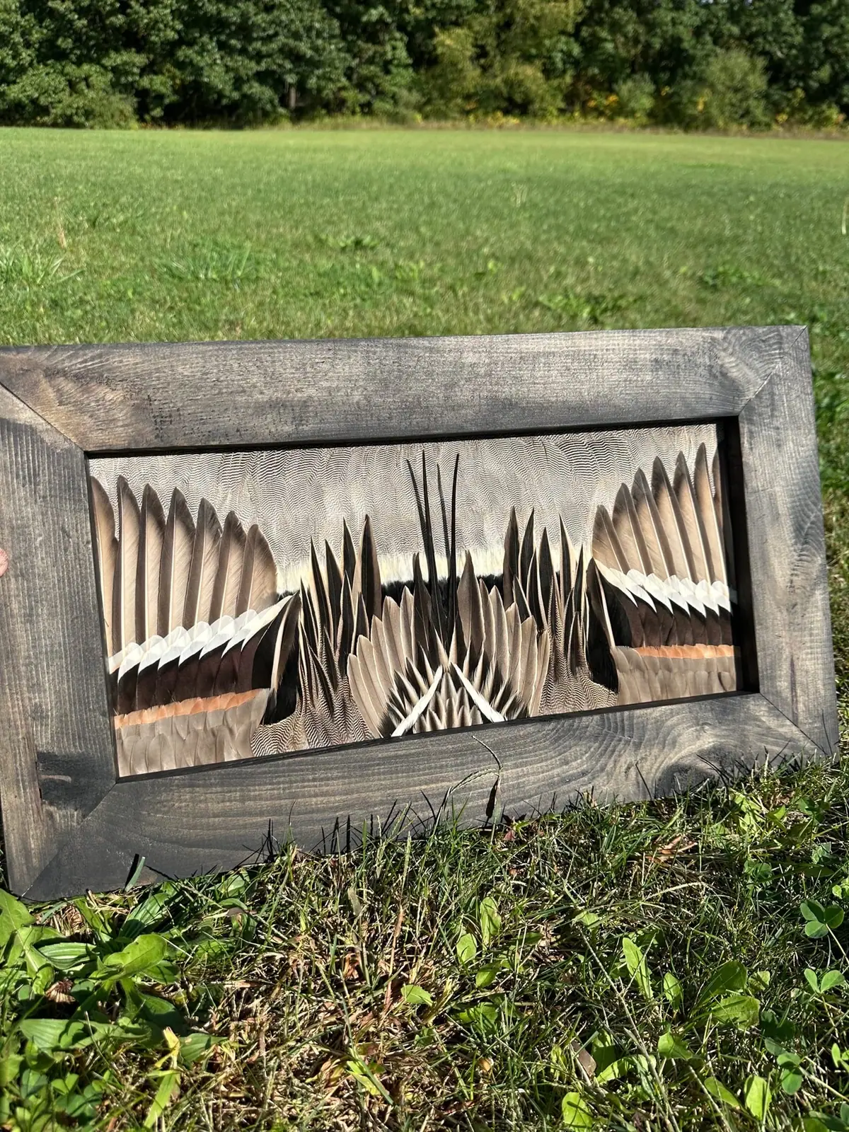 Waterfowl feather art piece